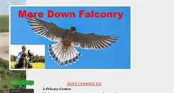 Desktop Screenshot of meredownfalconry.co.uk